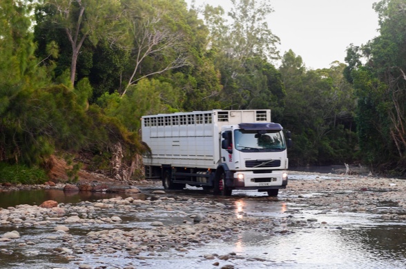 camion riviere