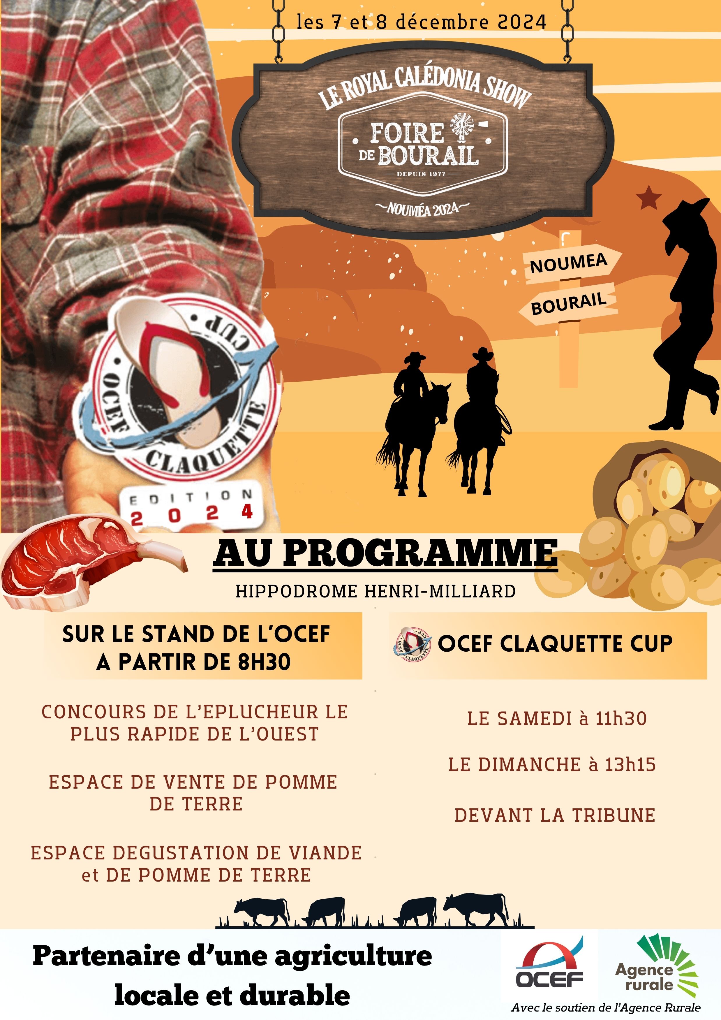 Programme RCS
