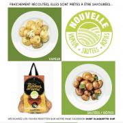 visuel pommes de terre nouvelles