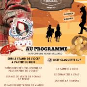 Programme RCS
