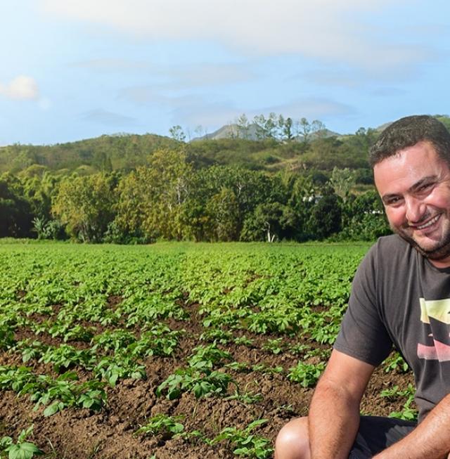 producteur pommes de terre